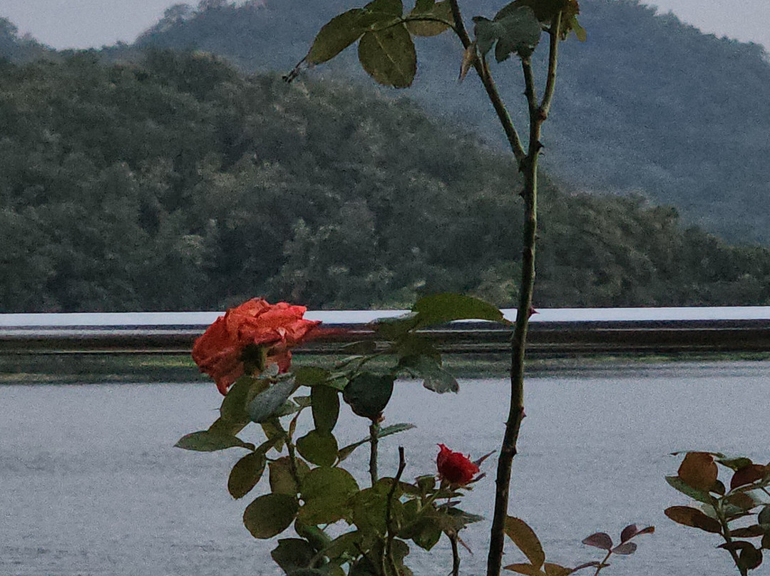 Nauka Vihar (boating)景点图片