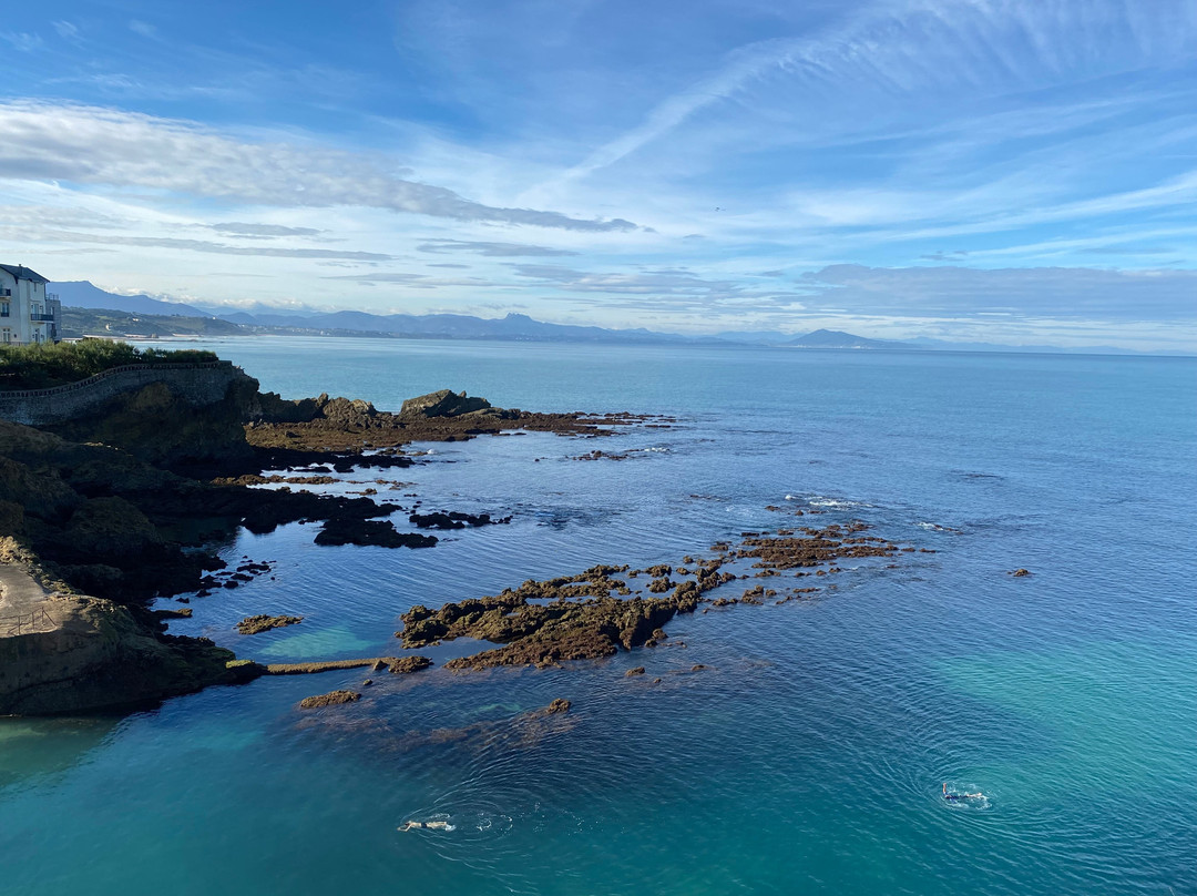 Plage Port-Vieux de Biarritz景点图片