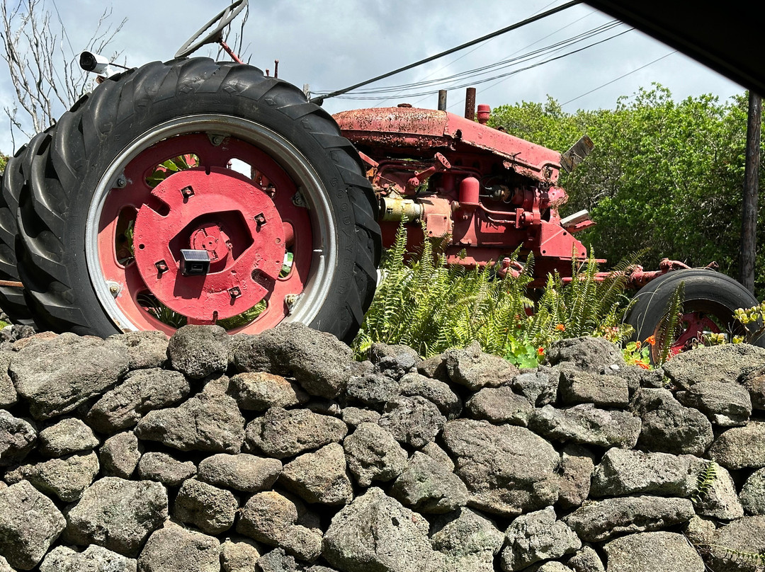 Hawaii's Local Buzz-纳勒胡必去景点