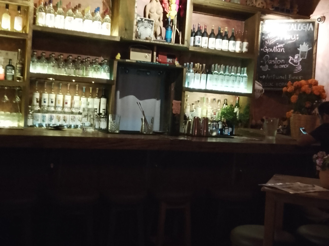 Mezcalogia-瓦哈卡必去景点