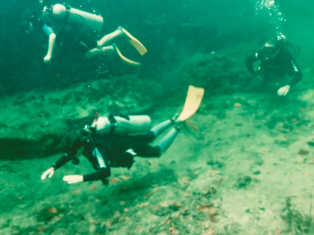 Diving Cenotes Tulum-图伦必去景点