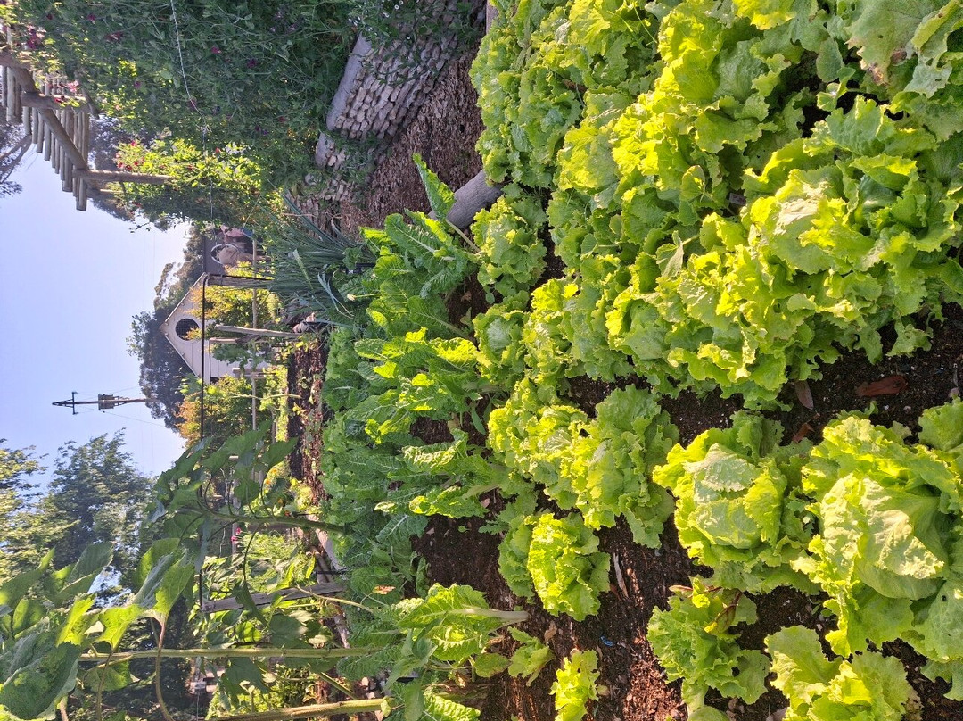 Rivergate Guest Farm