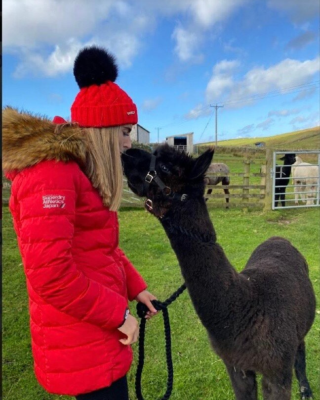 Ferny Rigg Alpacas-赫克瑟姆必去景点