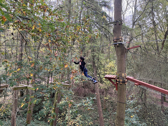 Jungle Parc - Northampton-韦灵伯勒必去景点