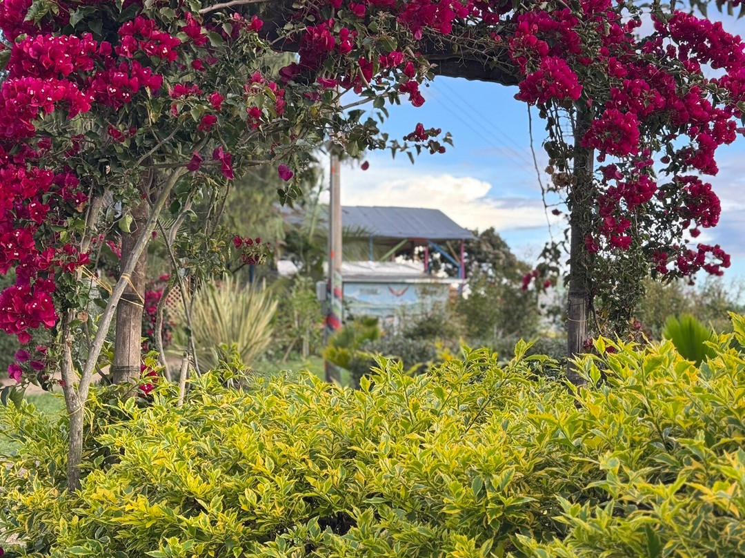 El Salto del Mortino-Isnos必去景点