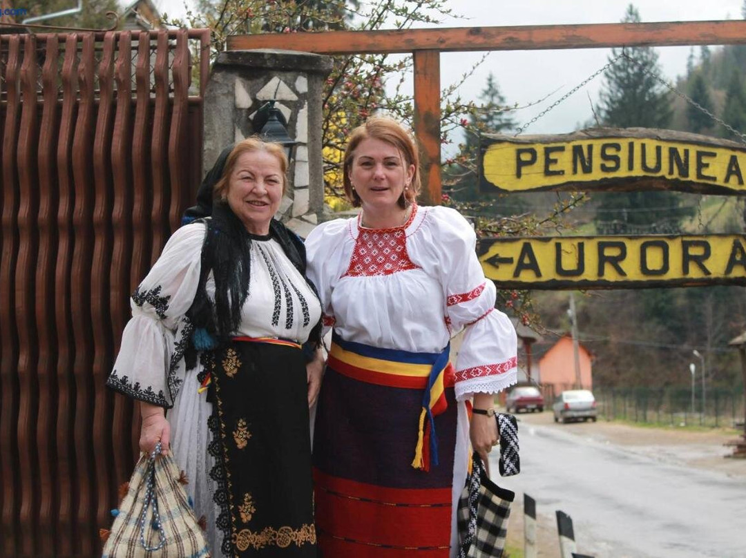 Pensiunea Aurora Albac
