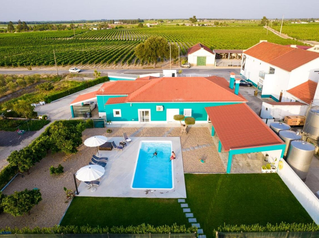 Delmira Vineyard House