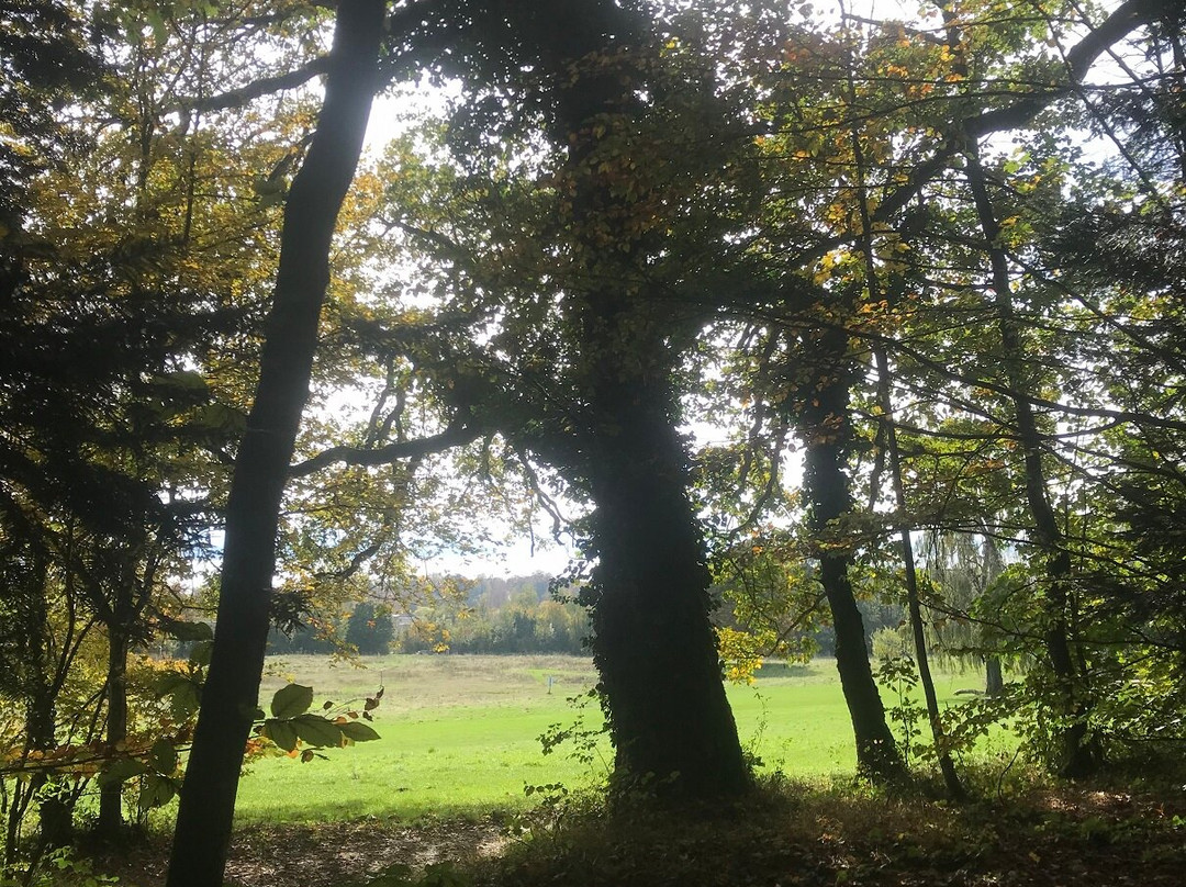 Parc De Pierre-à-bot-纳沙泰尔必去景点