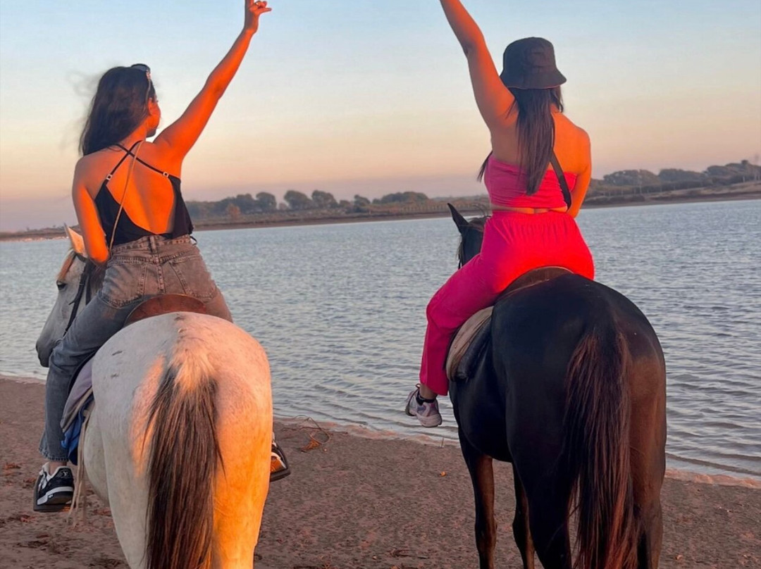 Agadir Fun-阿加迪尔必去景点