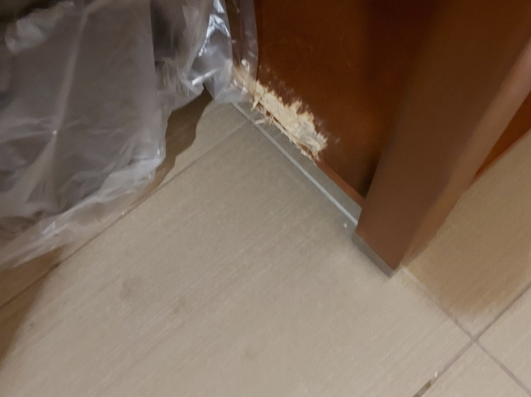 Comfort Inn & Suites主图