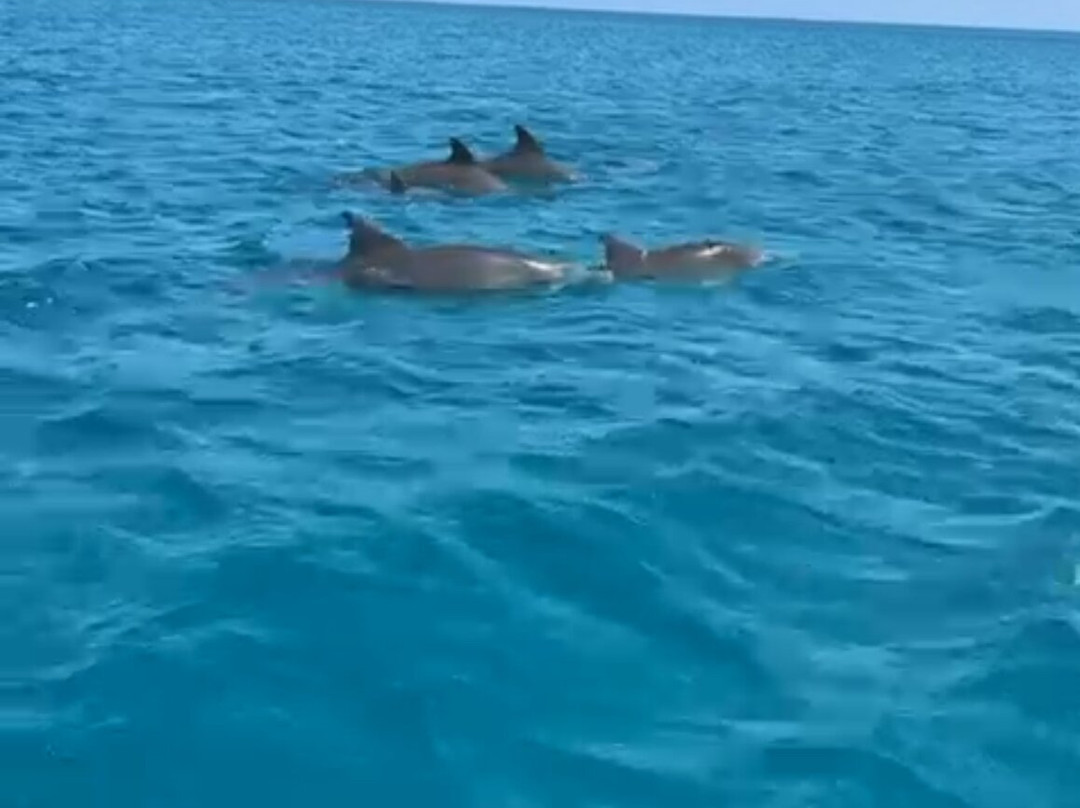 Dunsborough Jet Ski Tours-戴士柏必去景点