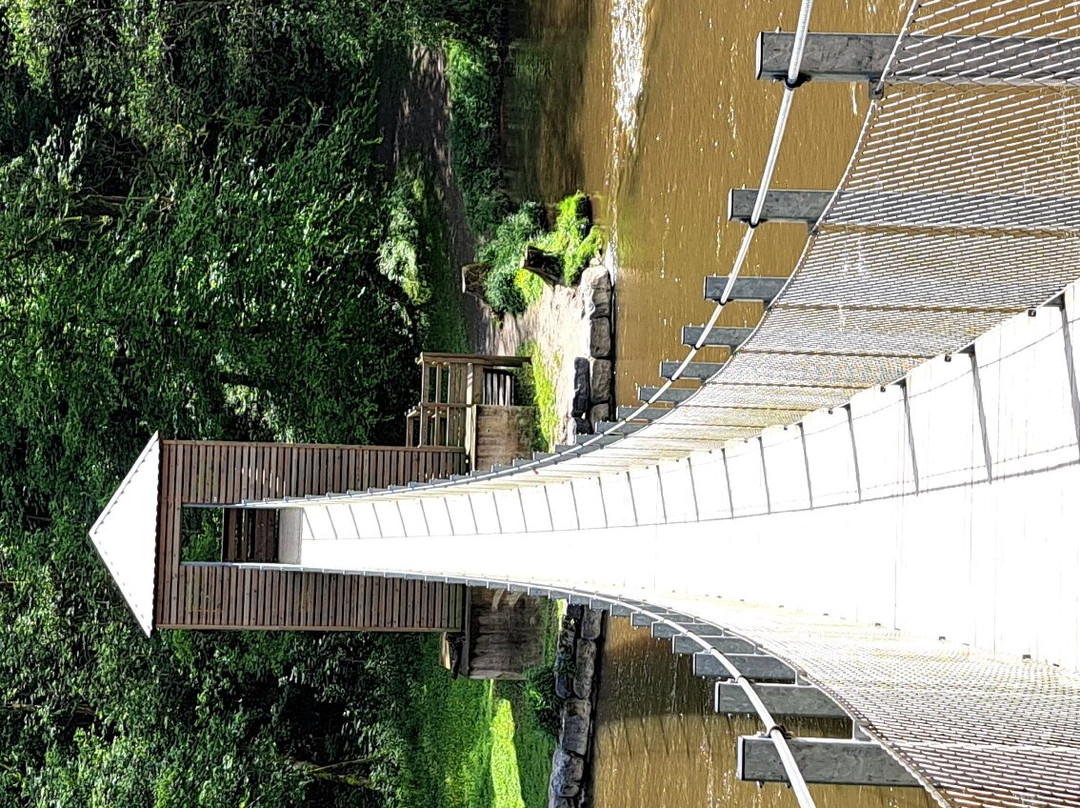 Passerelle Du Moulin De L'epine景点图片