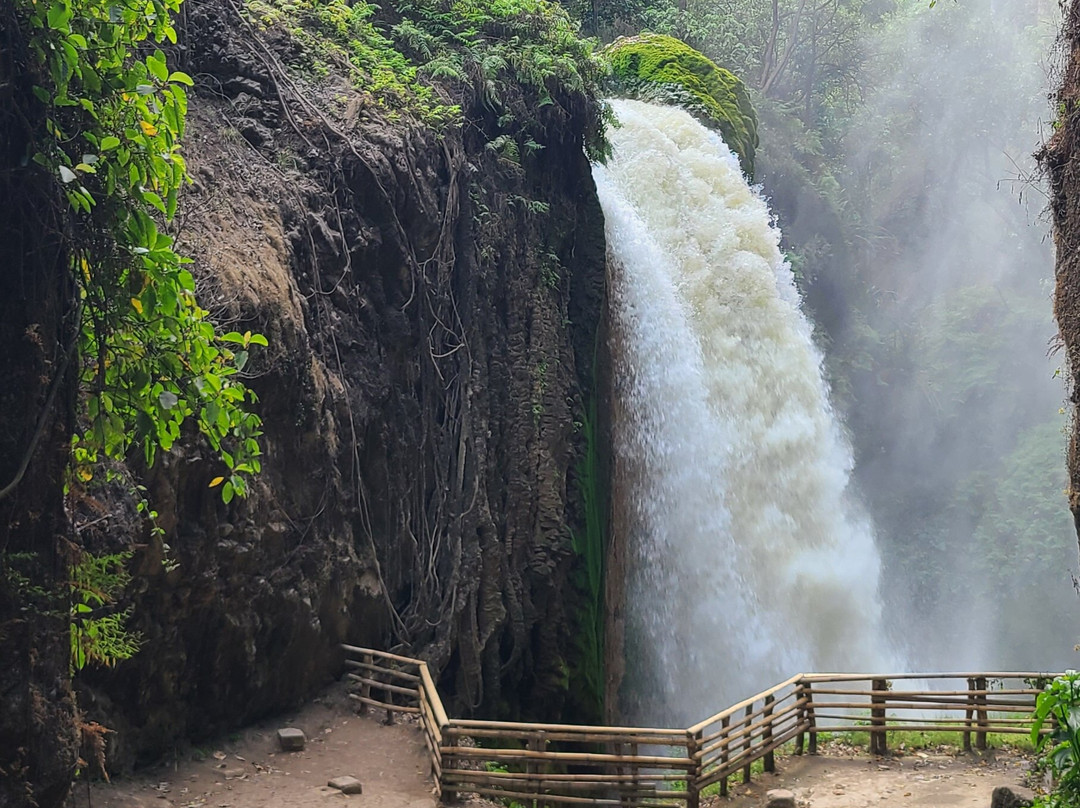 Blawan Waterfall景点图片