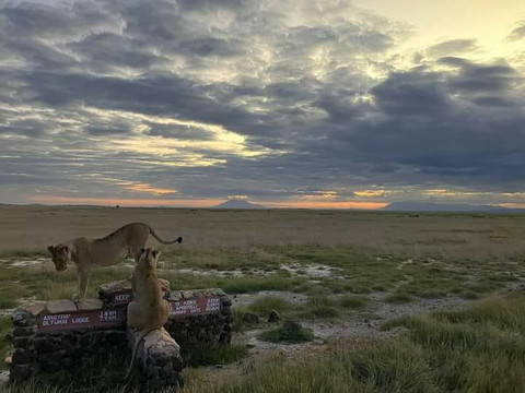 Flight to Fancy Holidays (Kenya)-内罗毕必去景点