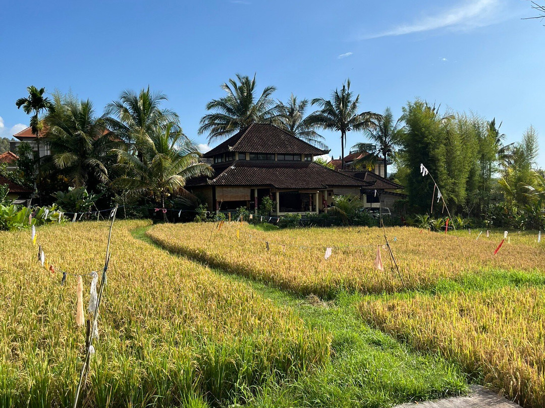 阿特瑞斯别墅假日公园主图