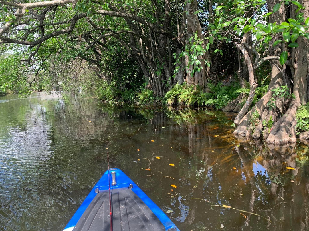 Swampdog Tours-韦斯顿必去景点