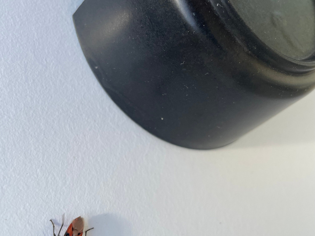 Estival Centurion Playa主图