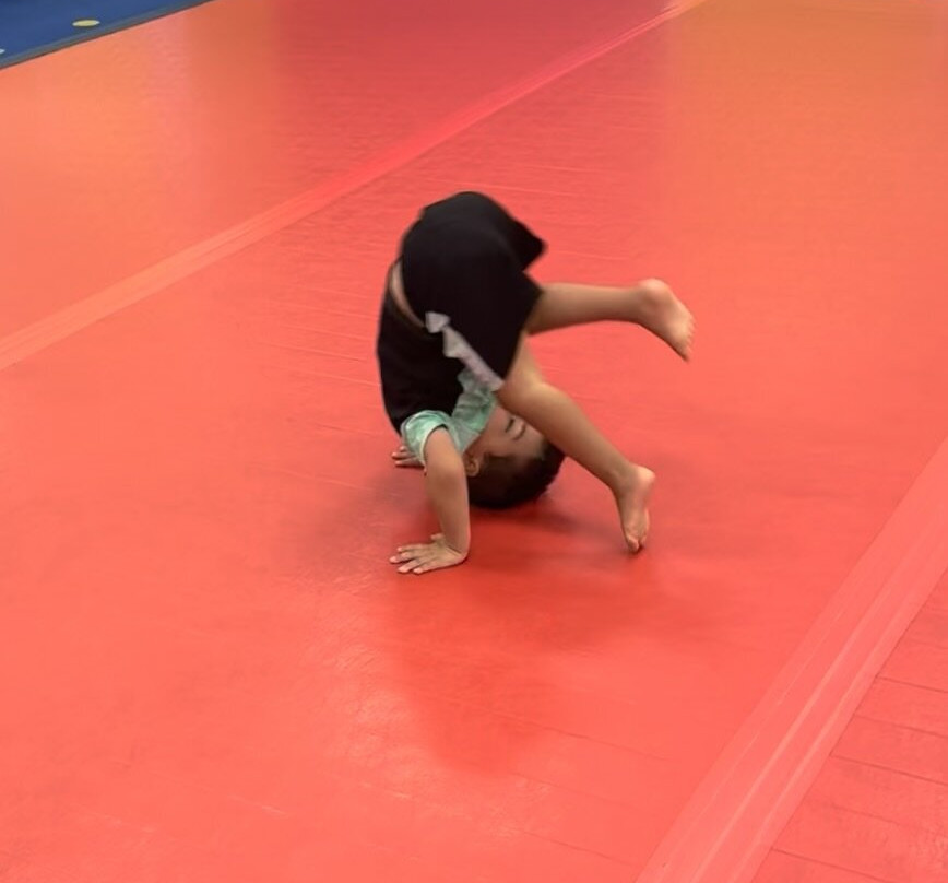 The Little Gym-Cypress Lake必去景点