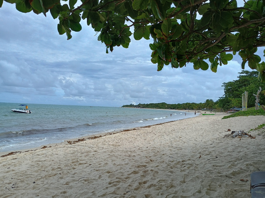 Muta Beach-Porto Seguro必去景点