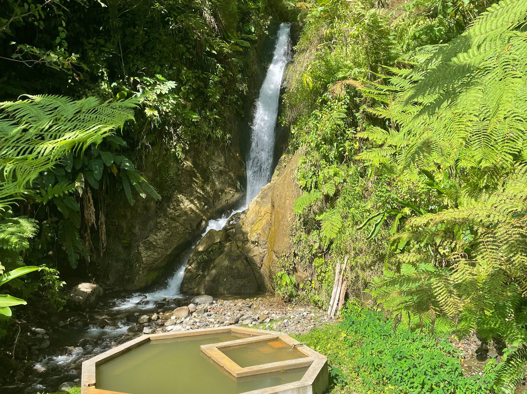 Papillote Tropical Gardens-罗索必去景点