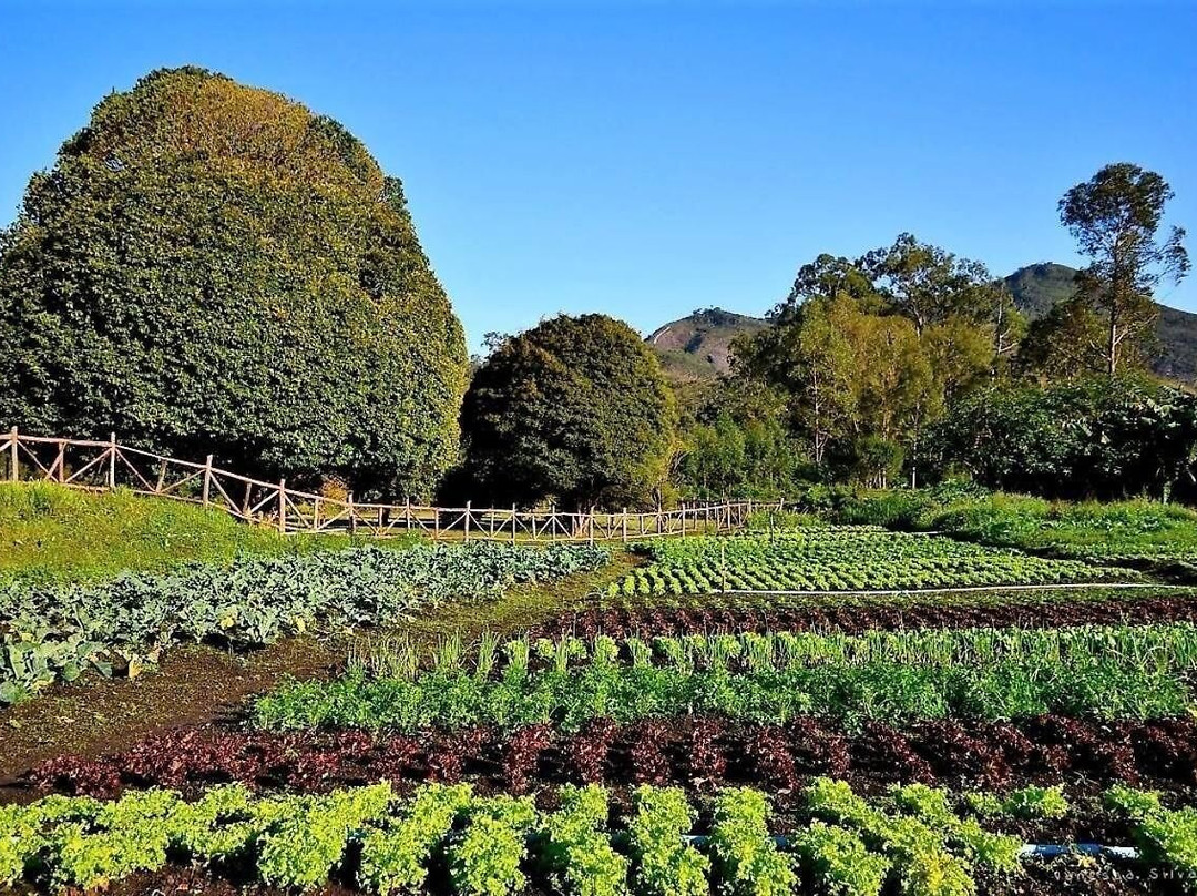 Spa Maria Bonita主图