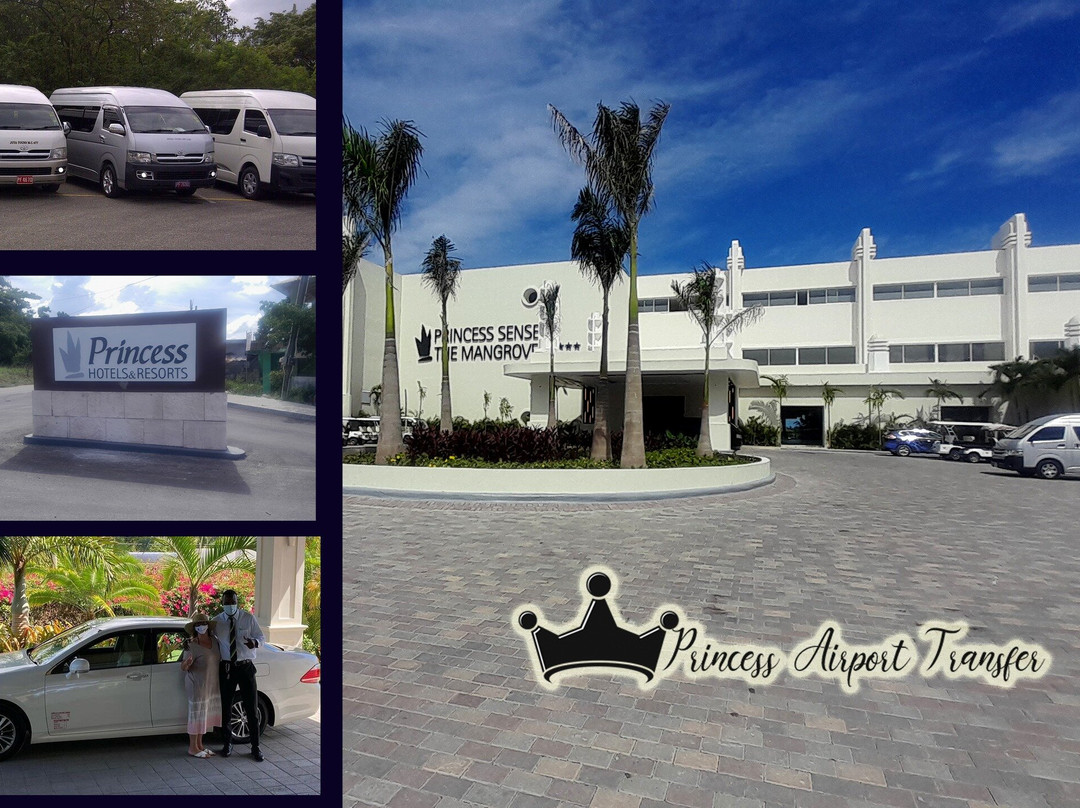 Princess Grand Jamaica Airport Transfers