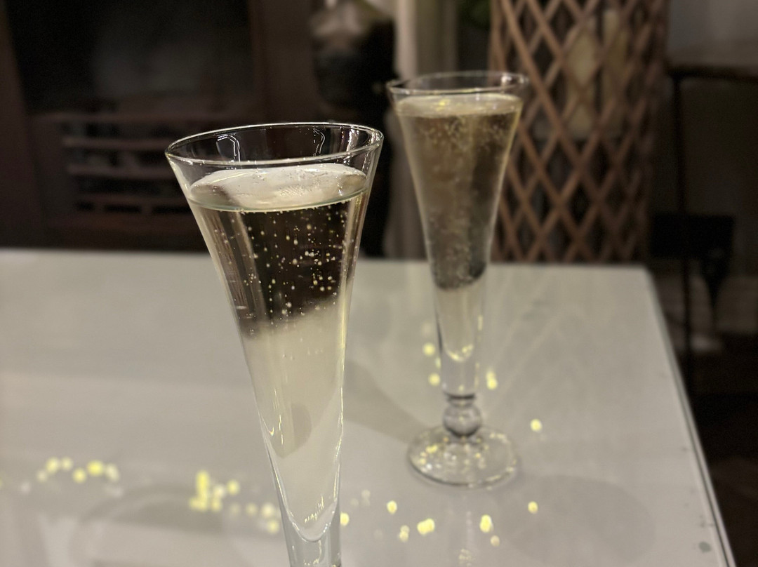 Christchurch HarSPA-基督城必去景点