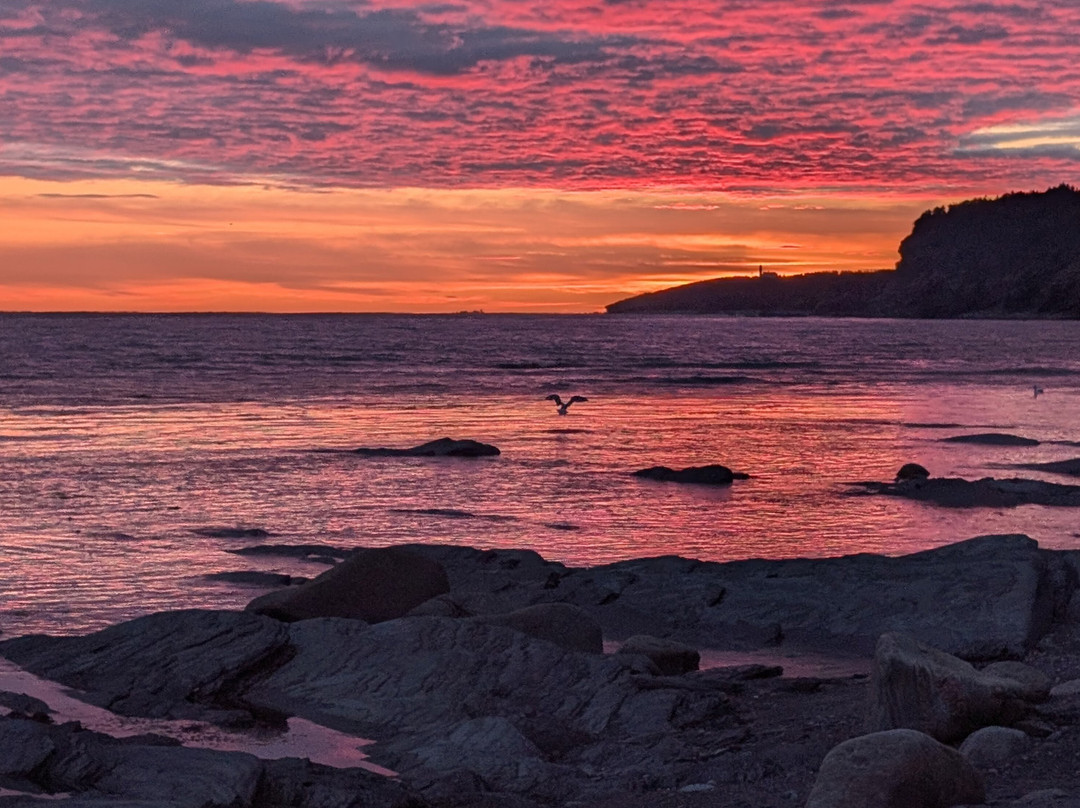 The Candlelight Inn主图