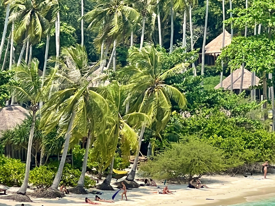Free Beach To Shark Bay-涛岛必去景点