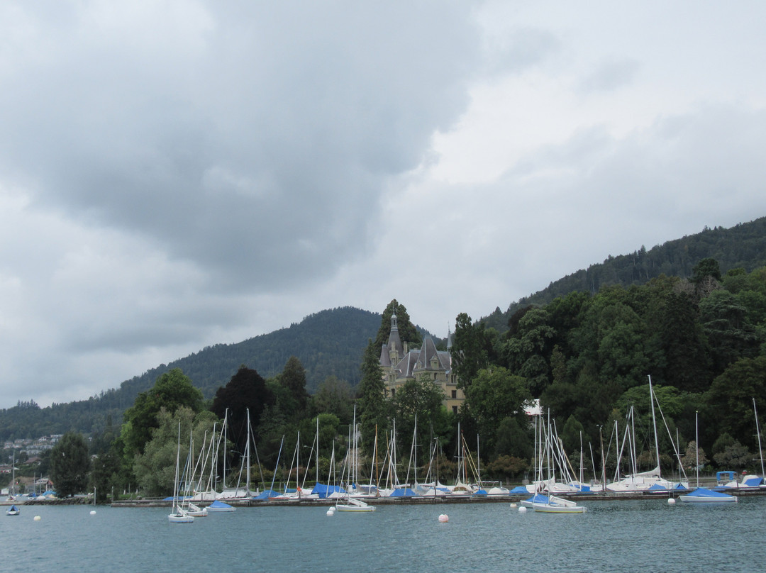 Schloss Hünegg Hilterfingen景点图片