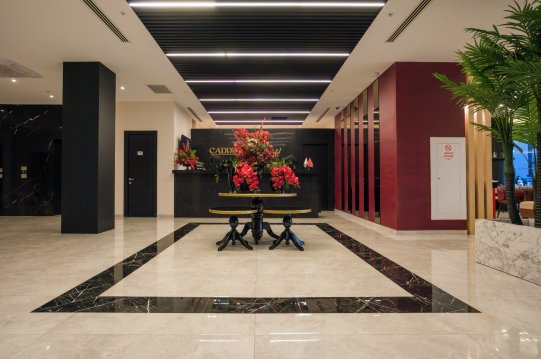 Caddemm Inn Hotel-浴室