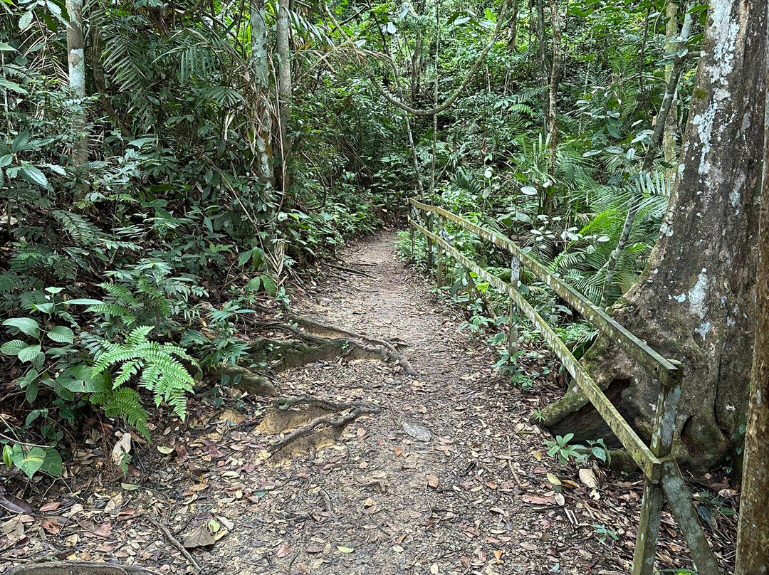 Remarkable Borneo Travel & Tours Sdn Bhd-兵南邦必去景点