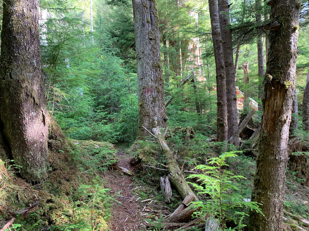 Regier Lake Trail-Daajing Giids必去景点