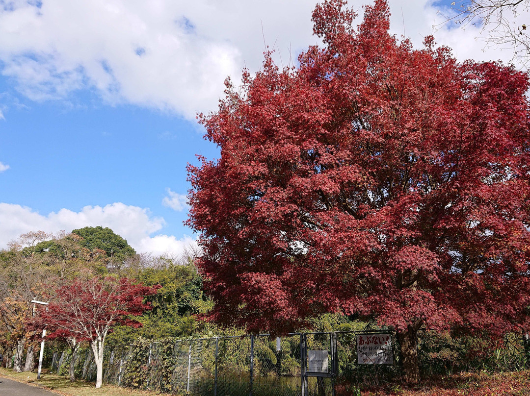 Higashi Hirao Park-Hakata必去景点