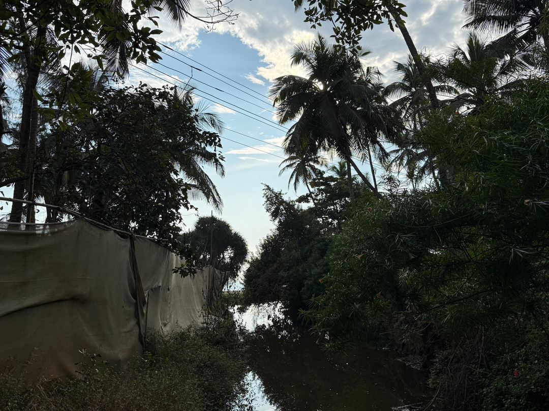 Goa Healing Center-格纳戈纳必去景点