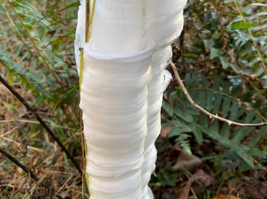 Window Cliffs State Natural Area-Baxter必去景点