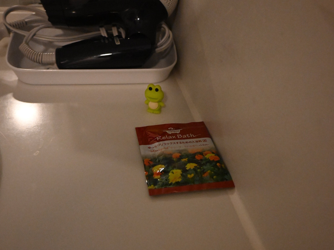 西佳福冈中洲酒店主图