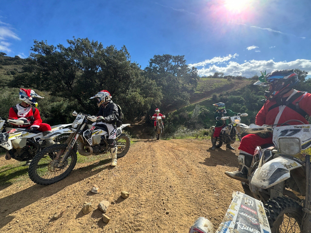 ToroTrail-马拉加必去景点