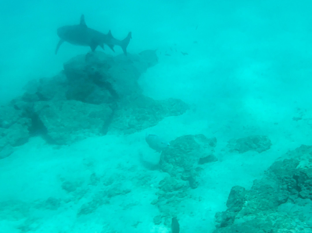Enjoying Ecuador Travel-基多必去景点
