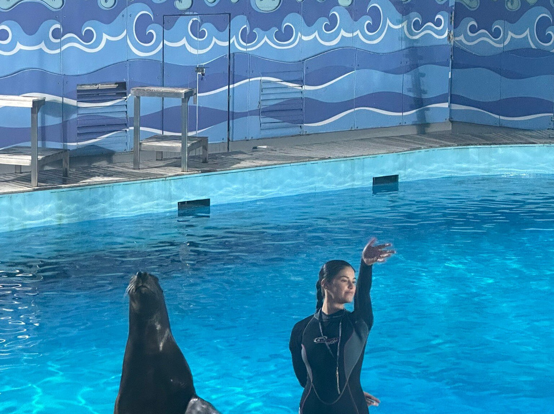 Fakieh Aquarium-吉达必去景点