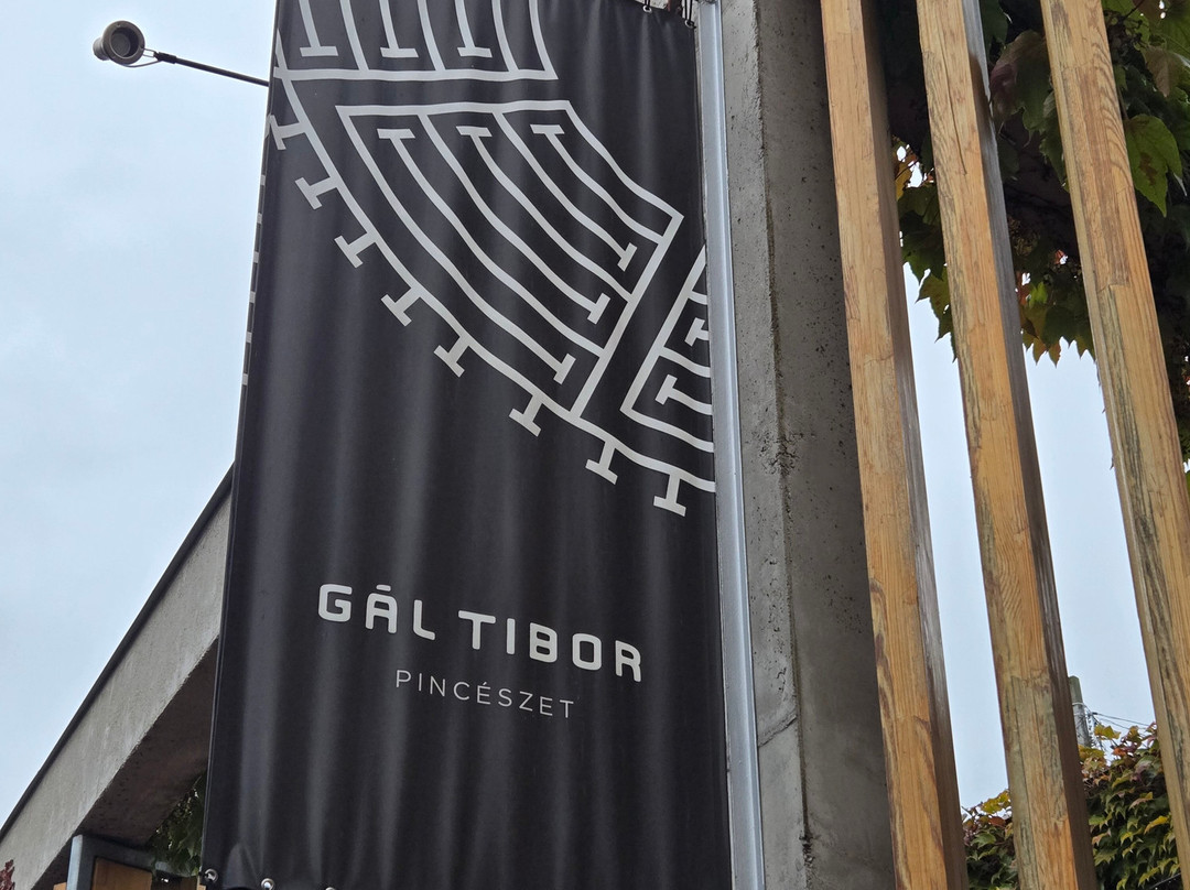 Gal Tibor Winery-埃格尔必去景点