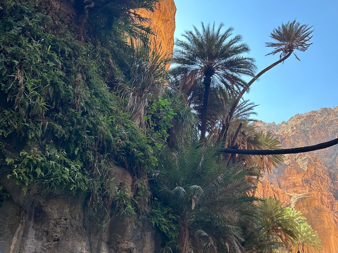 Bedouin Journeys Adventure景点图片