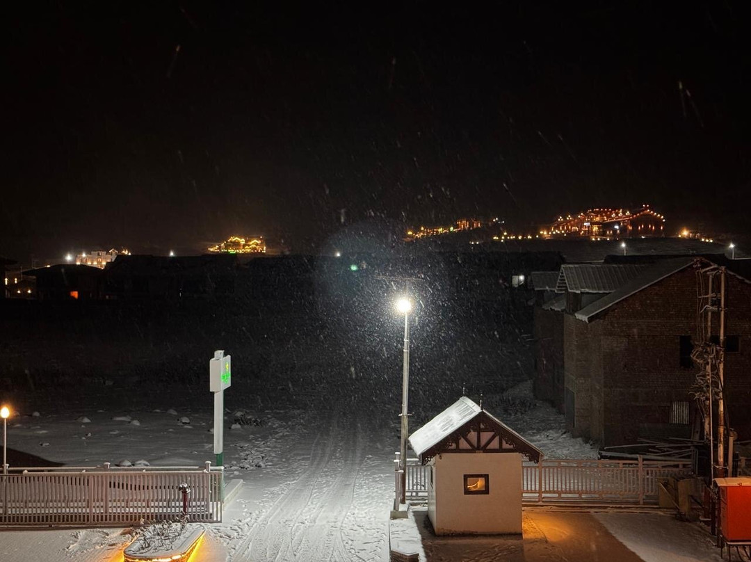 Lemon Tree Hotel, Sonamarg主图