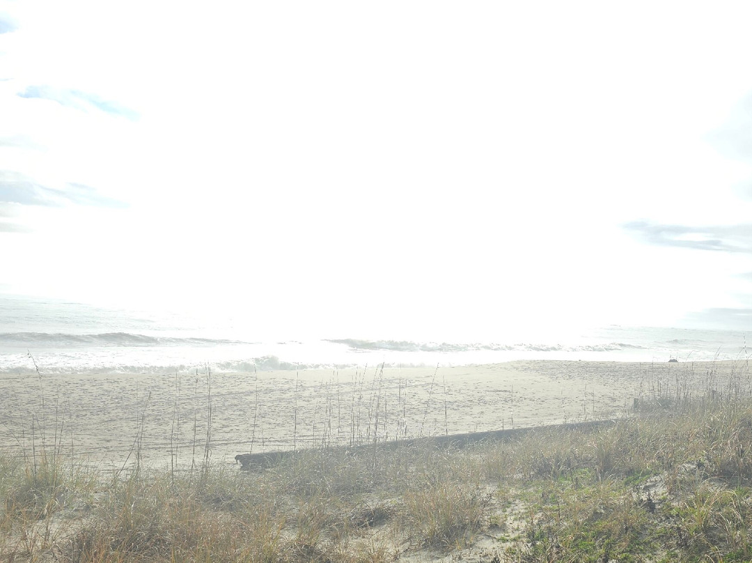 Tybee Island Beach-泰碧岛必去景点