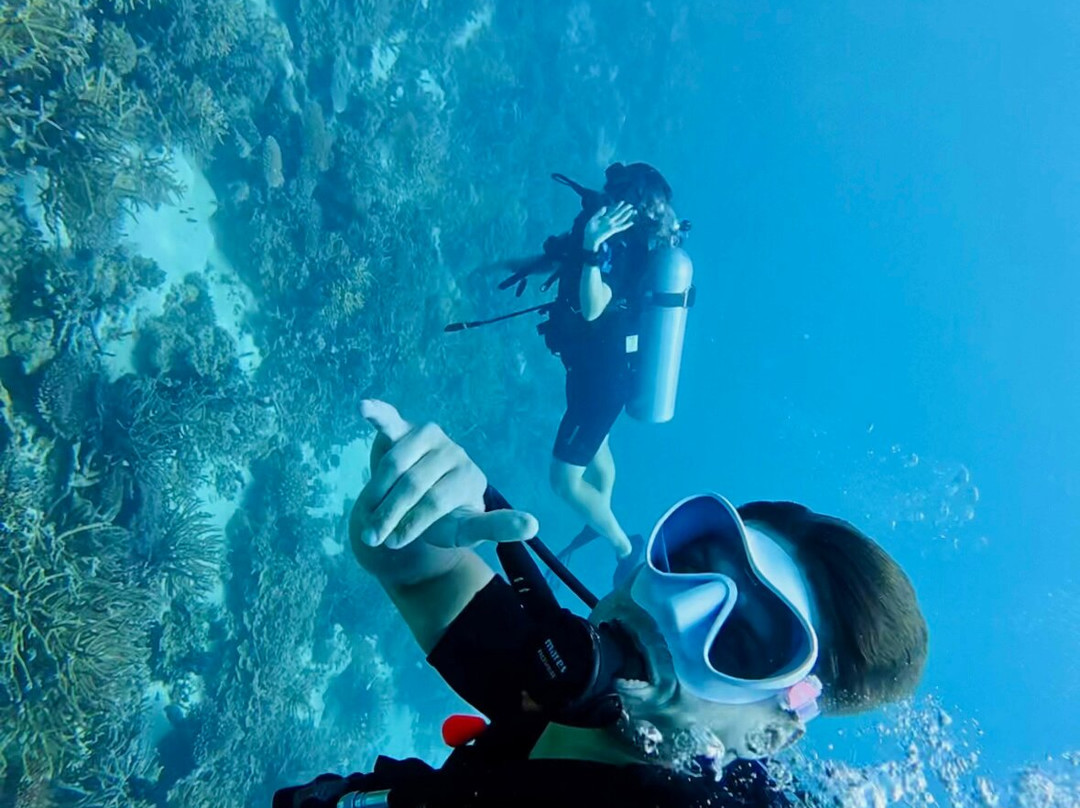 Euro-Divers Alila Kothaifaru Maldives-Kothaifaru必去景点