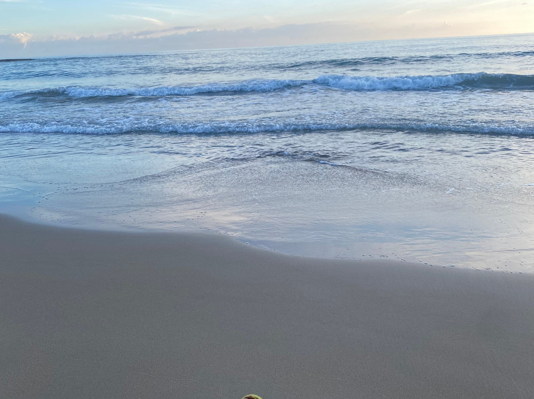 Beyond Sunset Resort and Villas主图