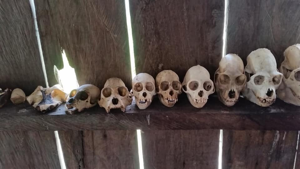 Amaselva Tours - Colombia Amazon-莱蒂西亚必去景点