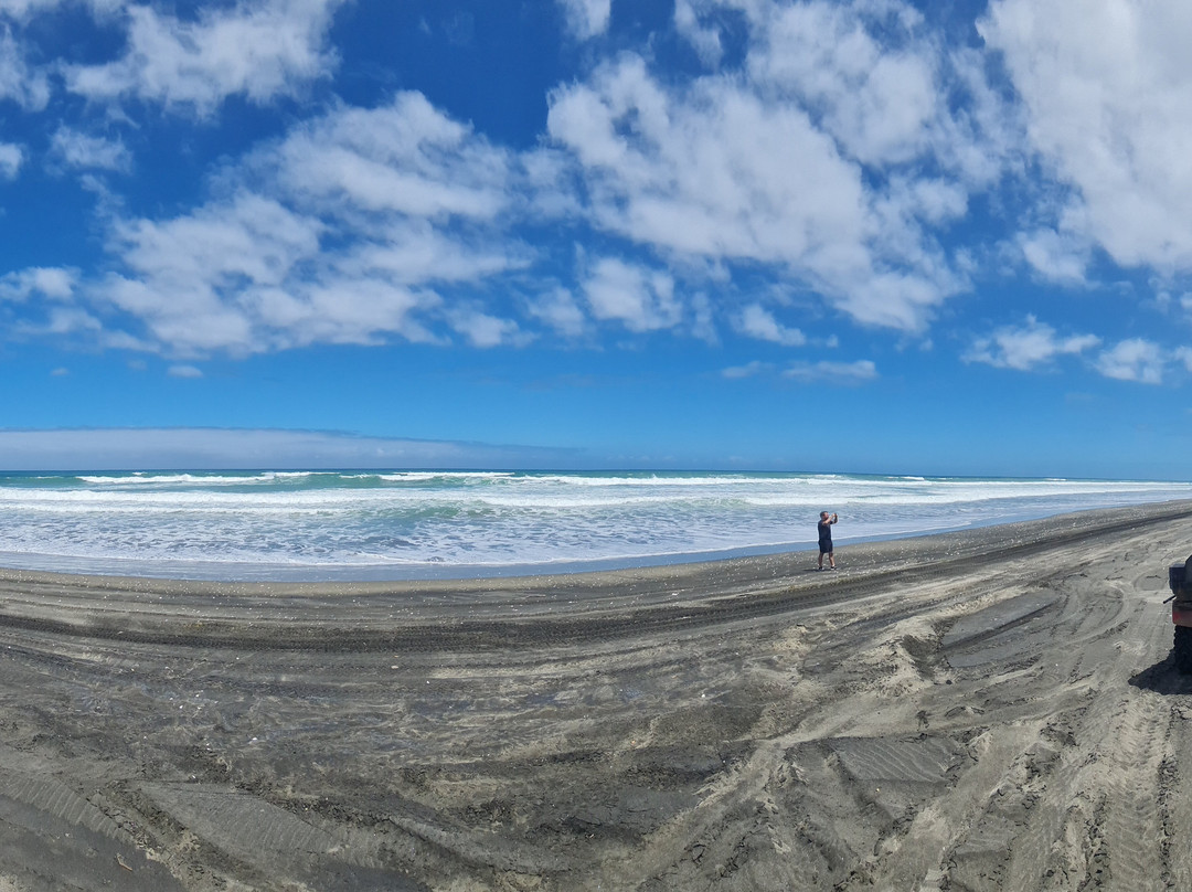 4Track Adventures-奥克兰中心地区必去景点