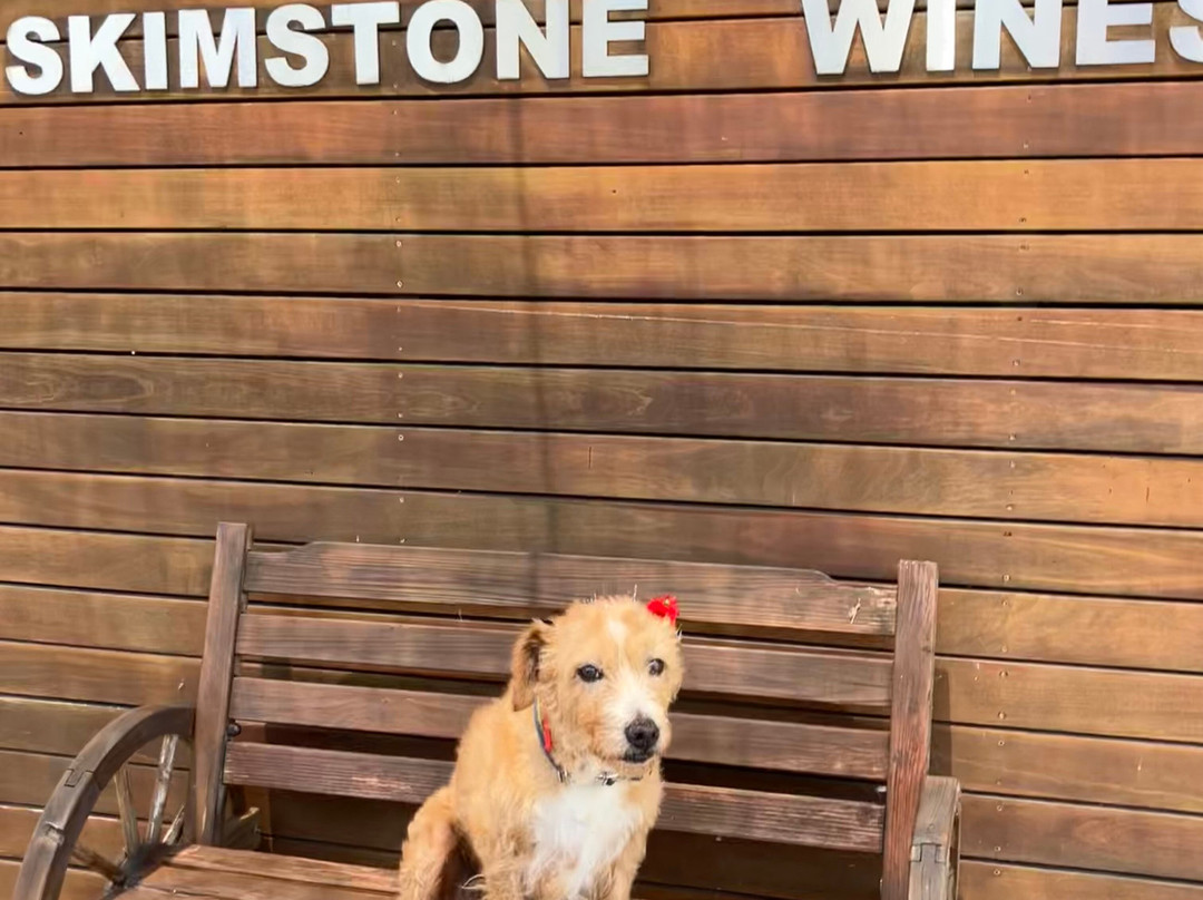 Skimstone wines-Apple Tree Flat必去景点