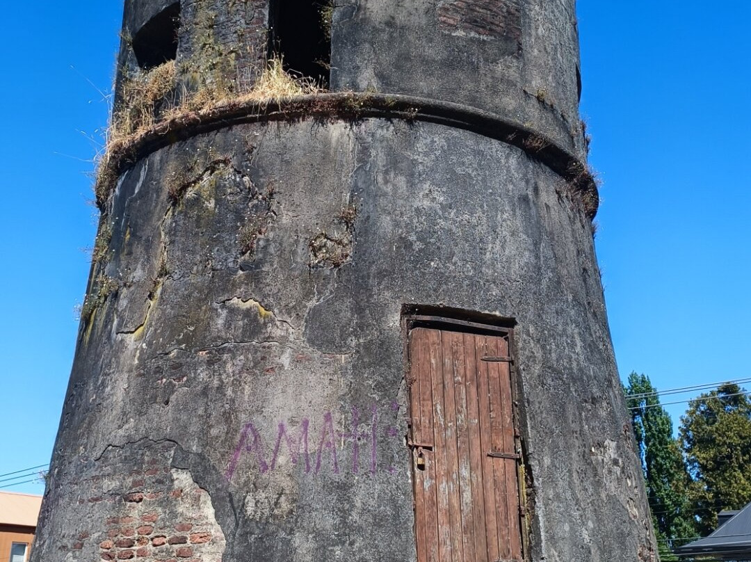 Torreon del Barro-瓦尔迪维亚必去景点